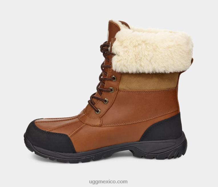 worchester 00NF1523 UGG hombres mota