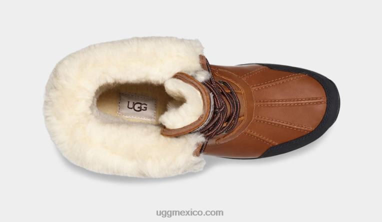 worchester 00NF1523 UGG hombres mota