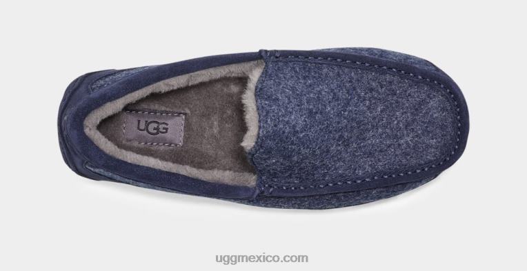 zafiro oscuro 00NF235 UGG hombres lana ascot